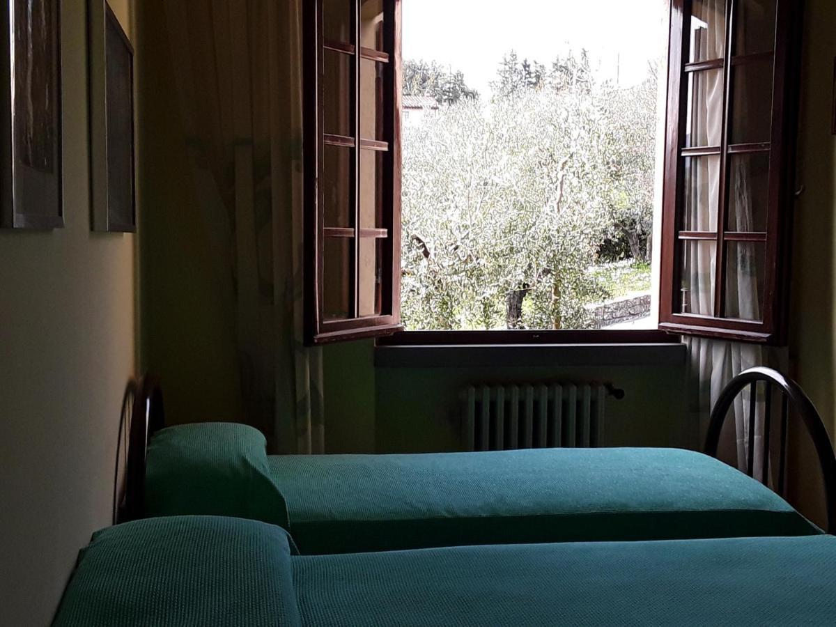 La Collina Degli Olivi Bed & Breakfast Carmignano Ngoại thất bức ảnh