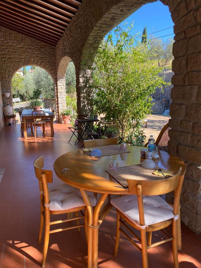 La Collina Degli Olivi Bed & Breakfast Carmignano Ngoại thất bức ảnh